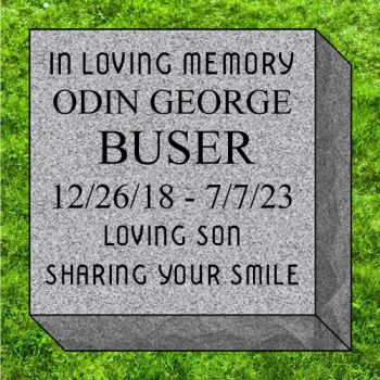 City Of Lee Sumits 7.75x7.75 Millstone Gray Brick #4812