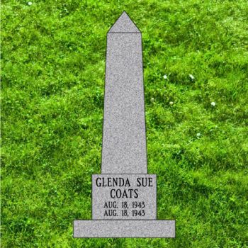 22x22x49 Gray Obelisk Elite Upright #4972 Clearance see in person