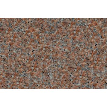 Morning Rose - Color Chip